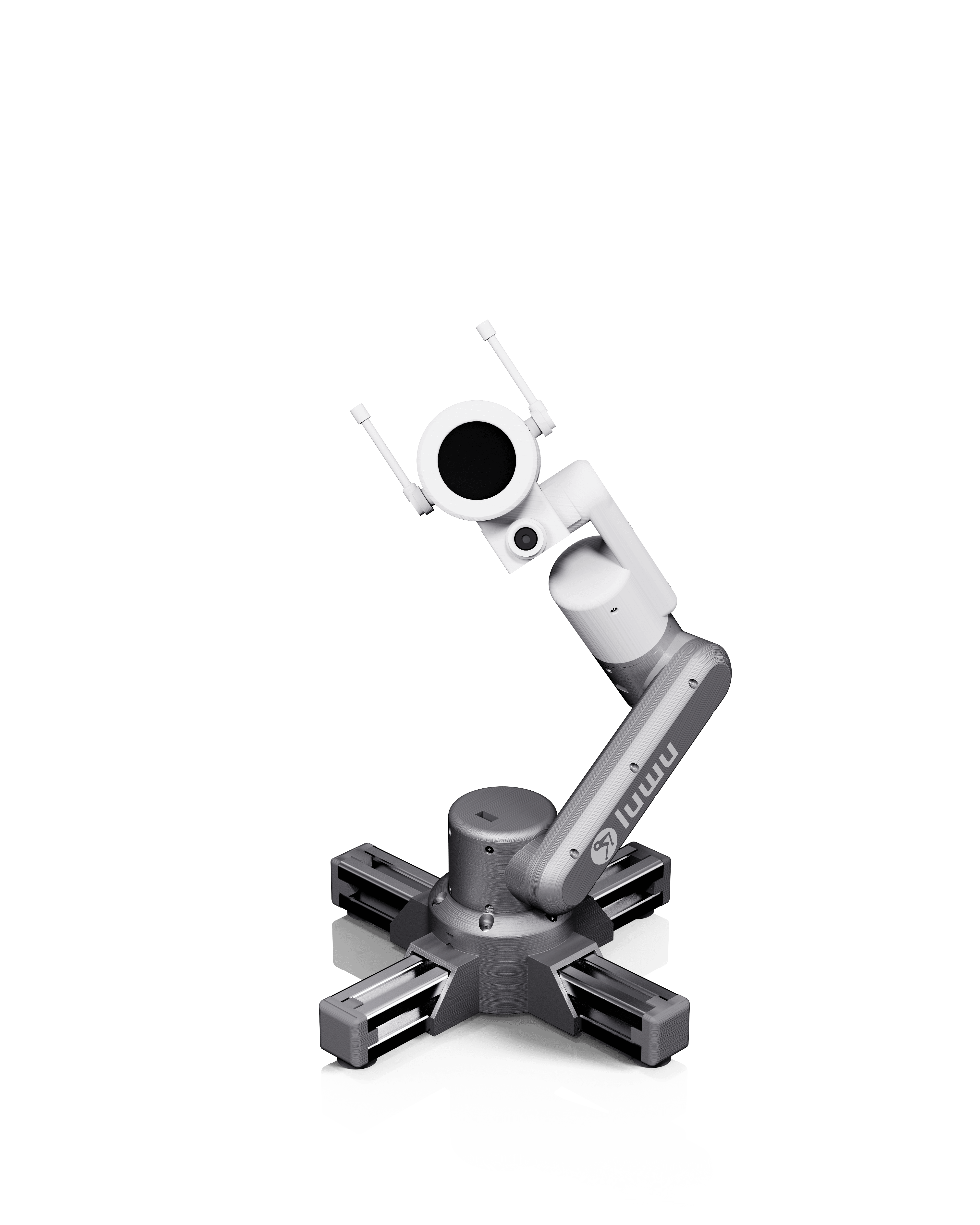 Arm product view and articulated structure.