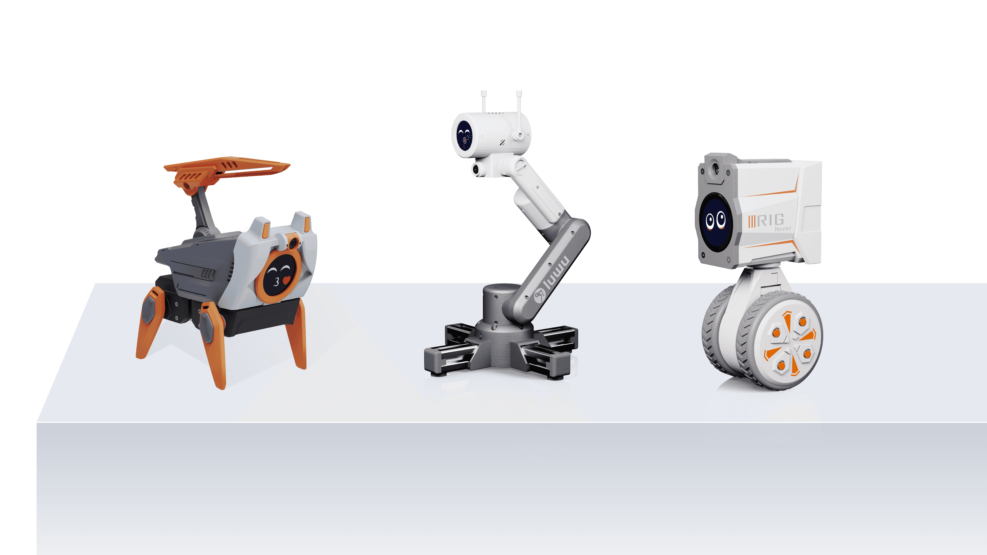 The RIG series Robot